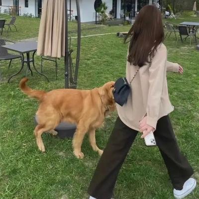 欣德